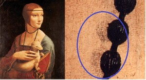 Figura 18.  La Dama con l’ermellino è un dipinto a olio su tela databile 1488-1490, conservato a Cracovia ed effigiante,                                                                                                                                                                                                                                                                                                                                                                                                                                                                                                                       probabilmente, Cecilia Gallerani. Nell’esploso vengono evidenziate le tracce papillari individuate sulla collana.  	